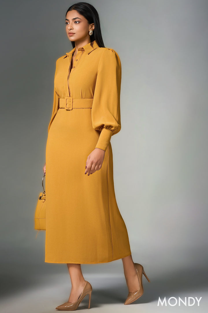 Belted Shirt Dress
