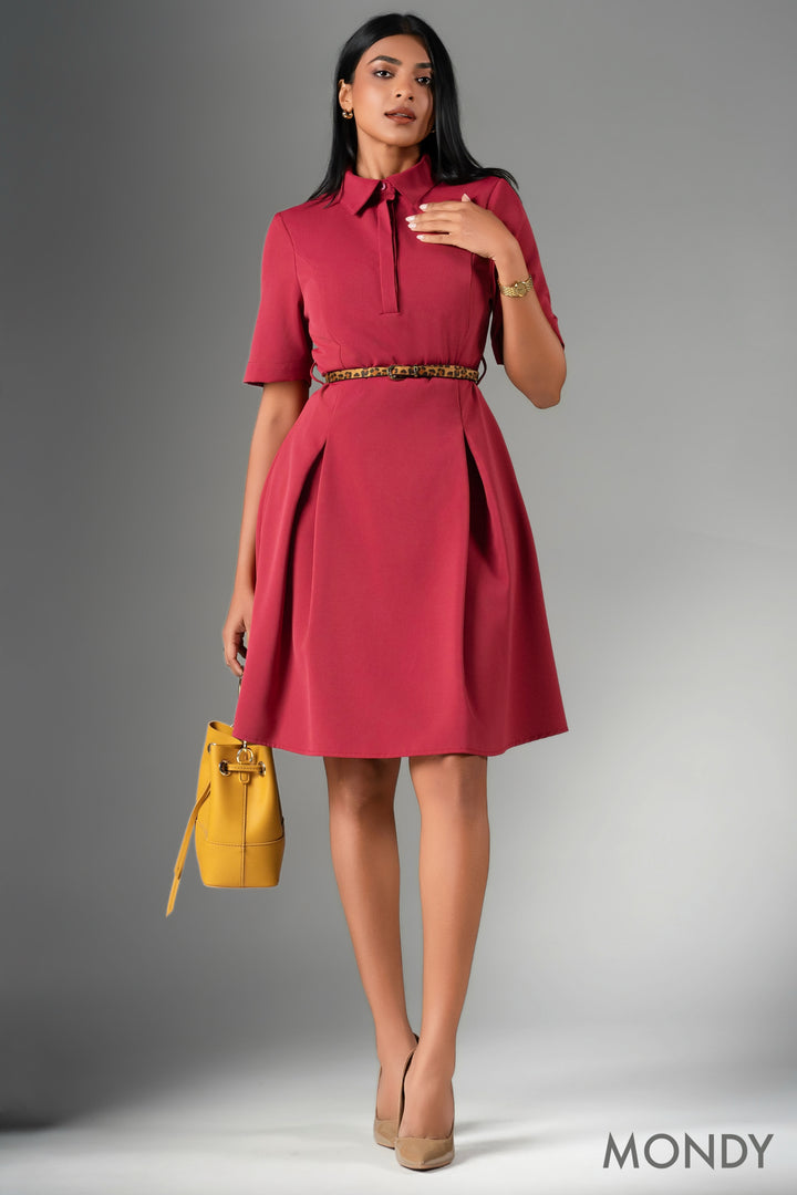 Skater Shirt Dress