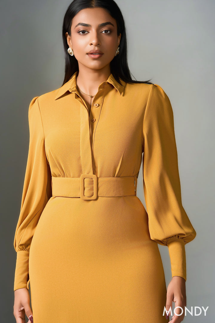 Belted Shirt Dress
