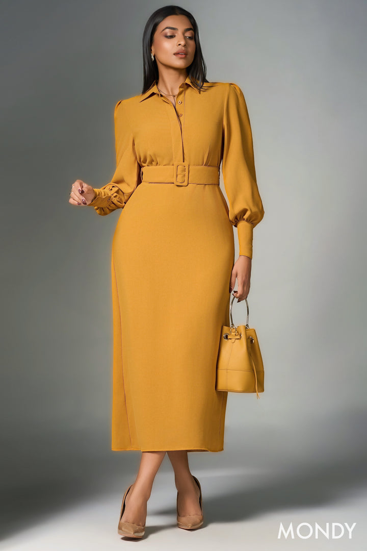 Belted Shirt Dress